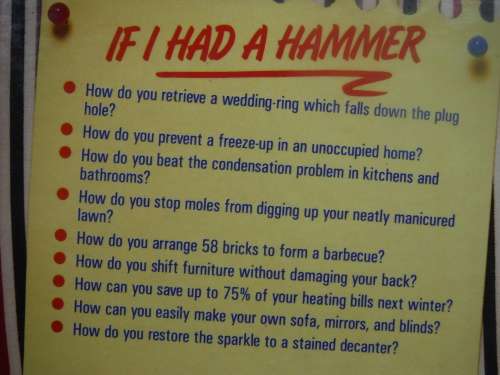 If I Had a Hammer - Hardcover - Pamela Donald