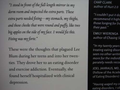 Table in the Darkness : A Healing Journey Through an Eating Disorder - Lee Wolfe Blum