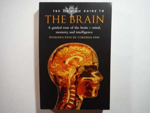 The Britannica Guide to The Brain - Paperback - Cordelia Fine