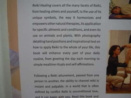 Reiki Healing - Hardcover - Carmen Fernandez