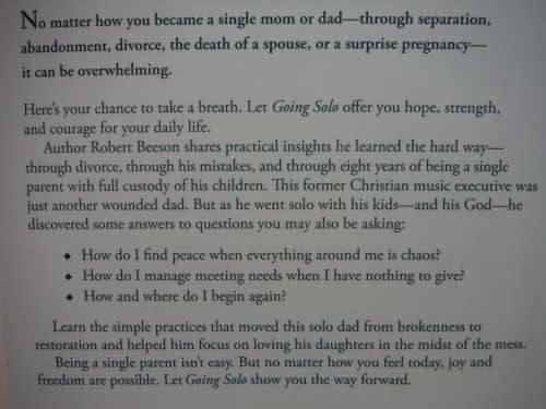 Going Solo : Hope and Healing for the Single Mom or Dad - Robert Beeson