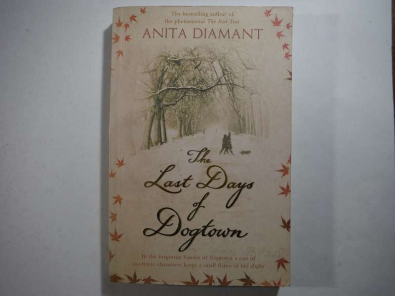 The Last Days of Dogtown - Paperback - Anita Diamant