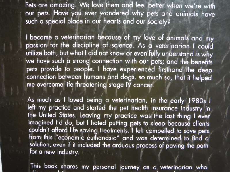 A Different Kind of Veterinarian - Paperback - Jack Stephens, DVM