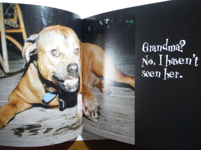 Psycho Pets : Just When You Thought it was Safe to Go Home - Hardcover