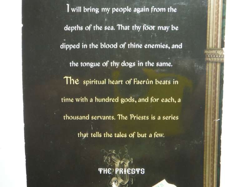 Forgotten Realms : Queen of the Depths - Paperback - Richard Lee Byers