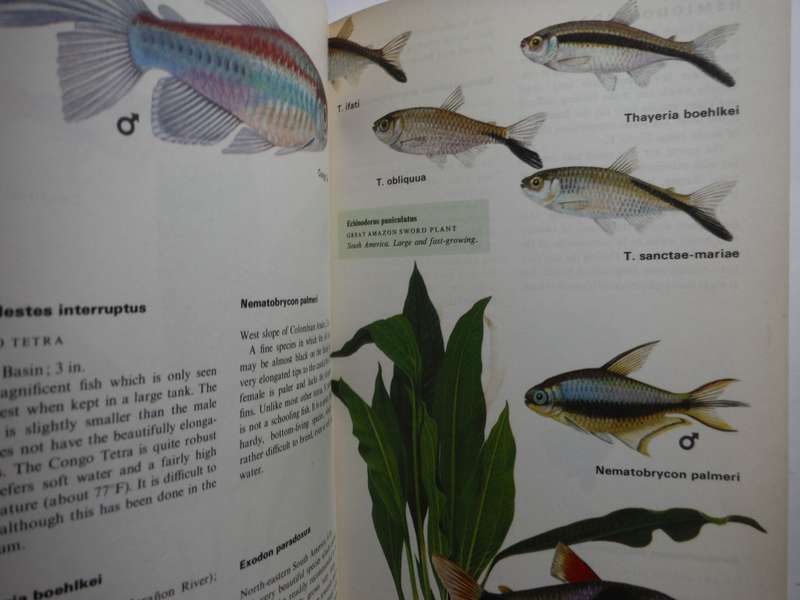 Collins Guide to Aquarium Fishes and Plants - Hardcover - Arne Schiotz - 1972