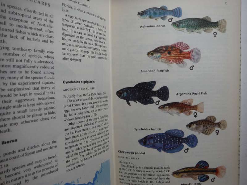 Collins Guide to Aquarium Fishes and Plants - Hardcover - Arne Schiotz - 1972