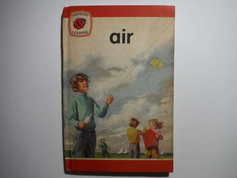 Ladybird Leaders : Air - Hardcover