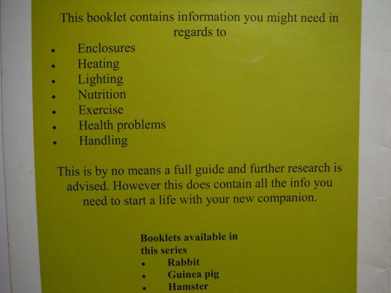 Caring for Your Bearded Dragon : Everything You Need to Know - Softcover Booklet - Gerhard Vermaak