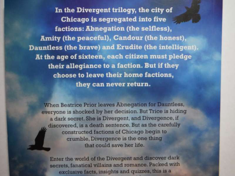 The Divergent Companion : The Unauthorized Guide to the Series - Paperback - Lois H. Gresh