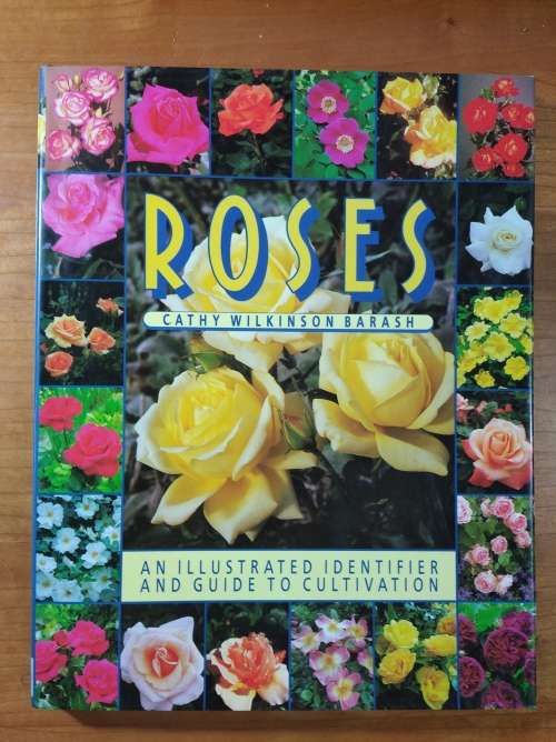 Roses by Cathy Wilkinson Barash