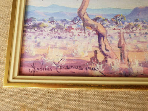 Namibian Andries Erasmus Original Oil on Canvas Board!!