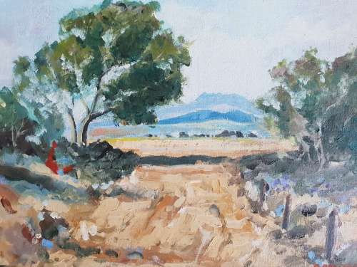 H van der Walt Oil Painting