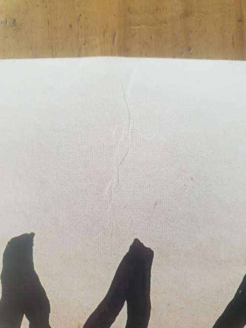 Honiball Print ( Glossy)