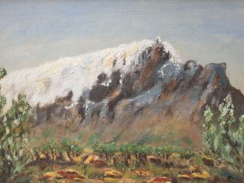 Iris Boden Oil Painting Signed and dated 1959!! Table Mountain!!