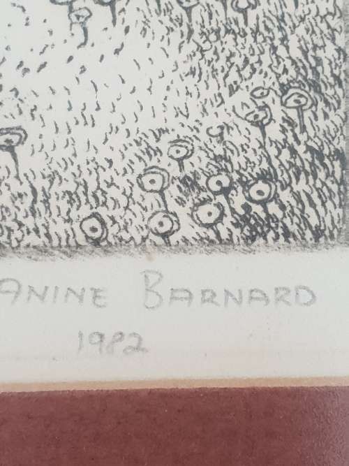 Anine Barnard!!!! Limited Edition Etching!! Crazy R1. High Value Item!!