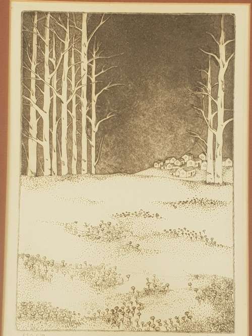 Anine Barnard!!!! Limited Edition Etching!! Crazy R1. High Value Item!!