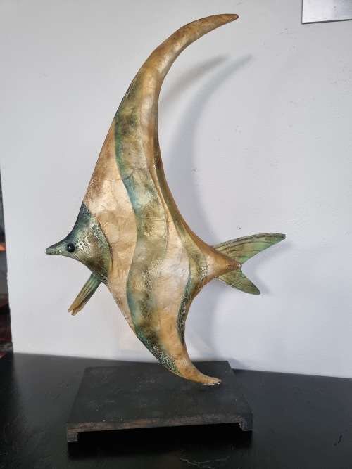 Stunning Fish Display