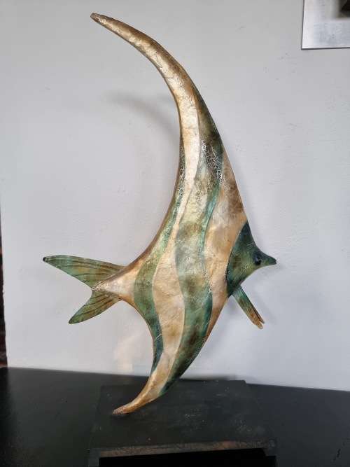 Stunning Fish Display