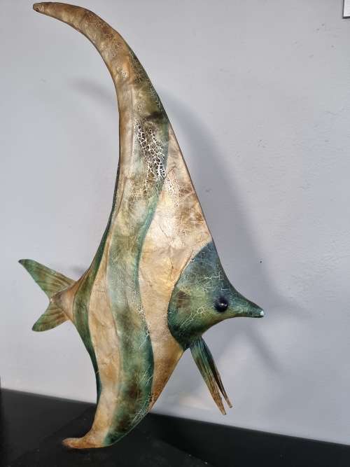 Stunning Fish Display