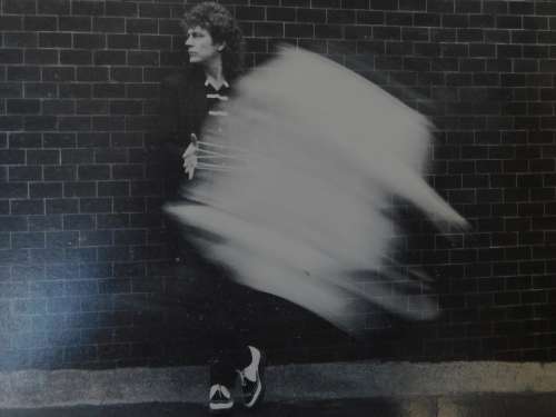 ROBERT PLANT - The Principle of Moments (VINYL)