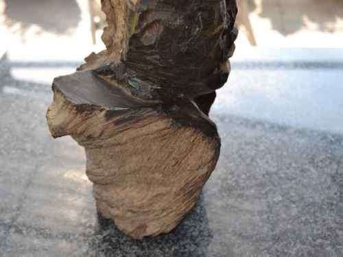 Wooden African Carving - Bust