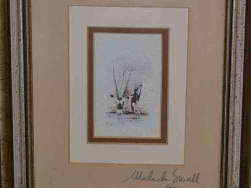 Malachi Smith Signed  Limited Edition Print - Gemsbok, framed behind Glass