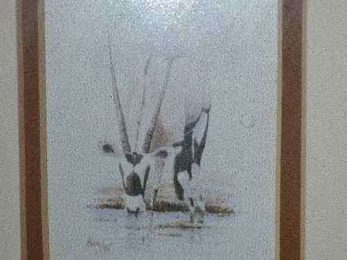 Malachi Smith Signed  Limited Edition Print - Gemsbok, framed behind Glass