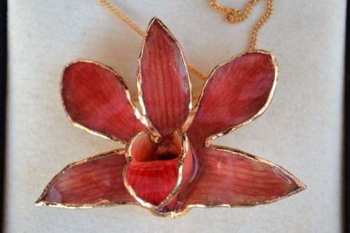 24k Gold Plated Real Orchid Necklace/Brooch