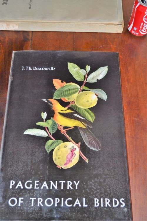 Pageantry of Tropical Birds  - With original slipcase and including a soft cover book