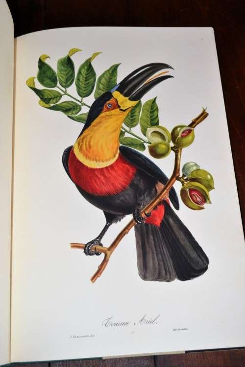 Pageantry of Tropical Birds  - With original slipcase and including a soft cover book