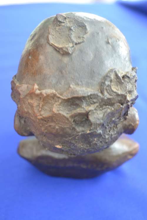 Clay Bust Sculpture - Signed W. Ndlovu
