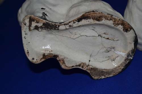 Pair of 19th Century Staffordshire  King Charles Spaniels