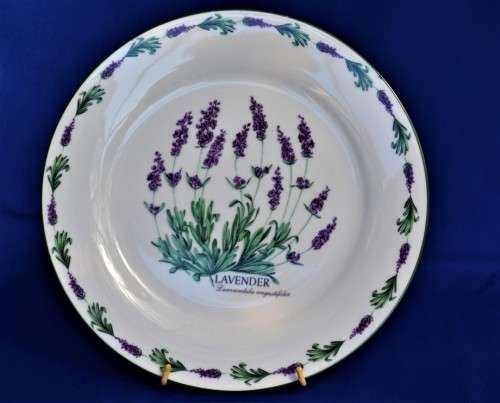 Wiesenthal Herb Garden - Lavender Plate