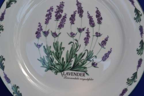 Wiesenthal Herb Garden - Lavender Plate