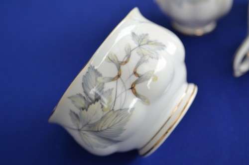 Royal Albert Silver Maple - Four Pieces
