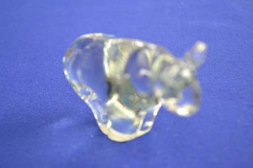 Ngwenya Glass Wild Dog