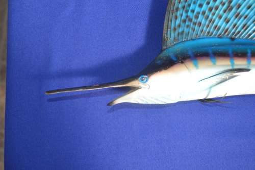 Vintage Len Jones Pisces Replicas
