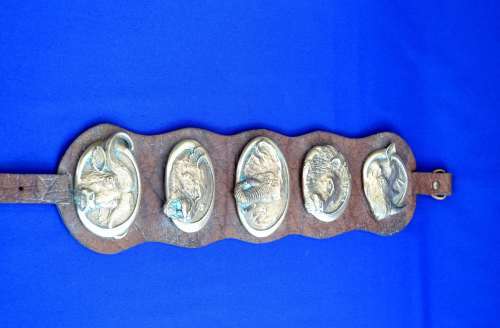 Big Five Horse Brasses on Genuine Leather Strap