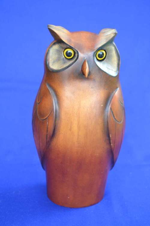 Large Feathers of Knysna African Collection Owl