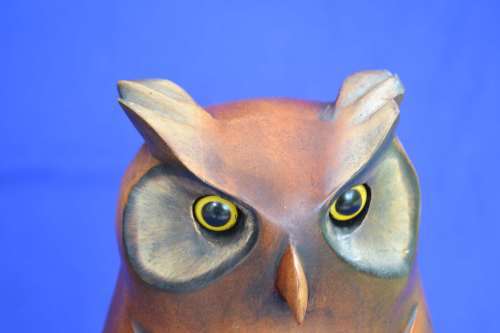 Large Feathers of Knysna African Collection Owl