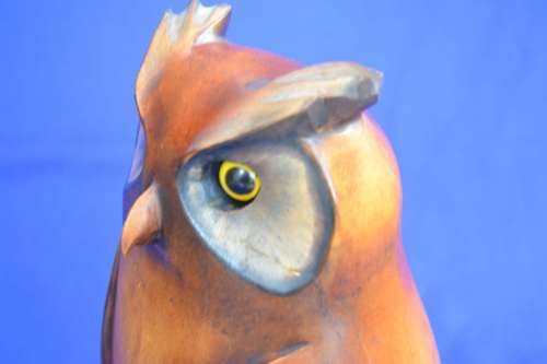 Large Feathers of Knysna African Collection Owl