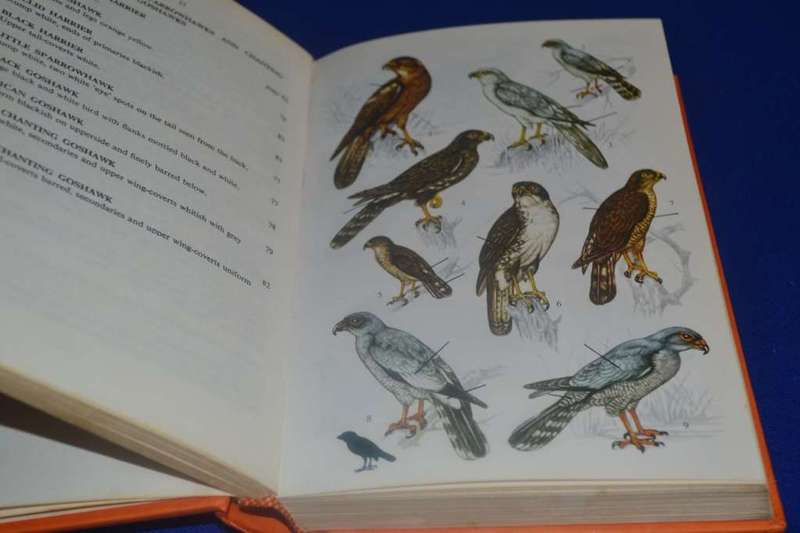A Field Guide to the Birds of Southern Africa By O.P.M. Prozesky
