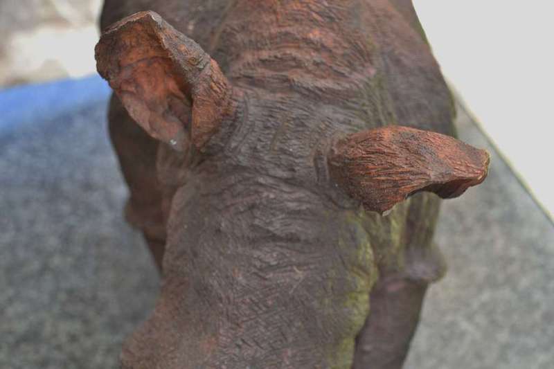 Large Wooden Hand Crafted Rhino - Justice Ncube