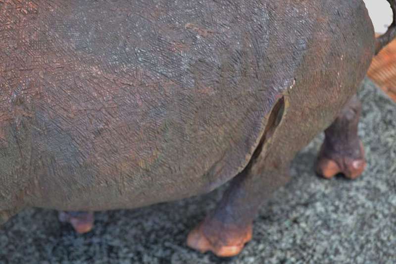 Large Wooden Hand Crafted Rhino - Justice Ncube