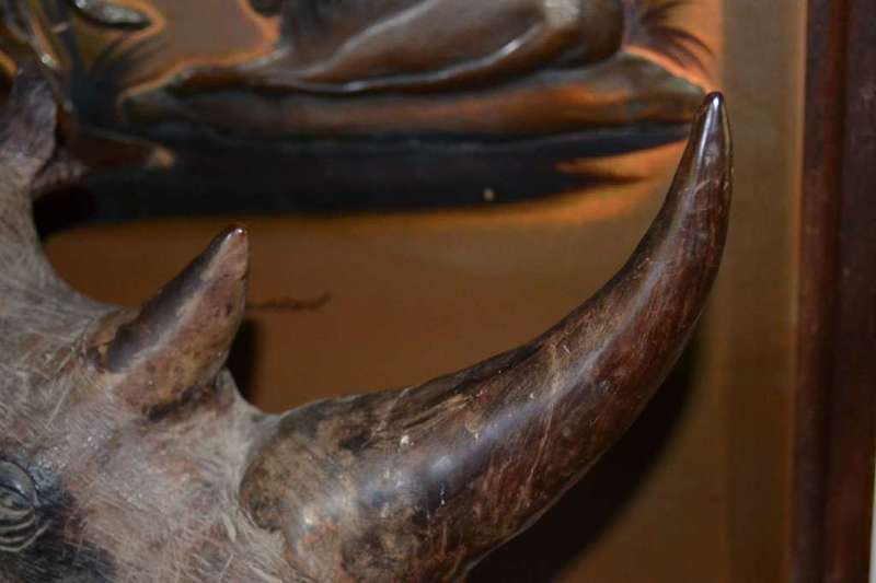 Justice Ncube - Large Double Rhino Wood Carving