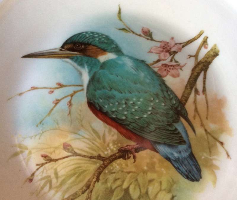 Constantia Fine China Bird Plate + 2 Miniature Coalport Bird Plates