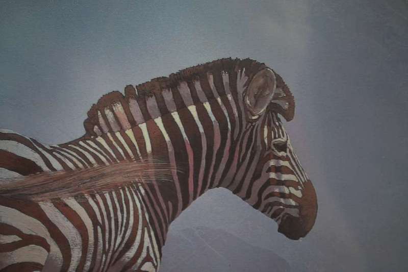 Malachi Smith `Collectors Print`  Lone Zebra - Unframed