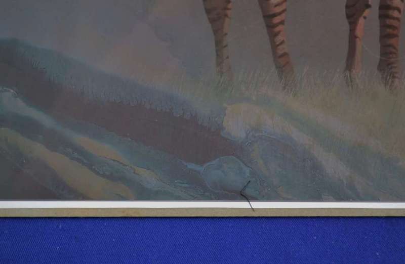 Malachi Smith `Collectors Print`  Lone Zebra - Unframed