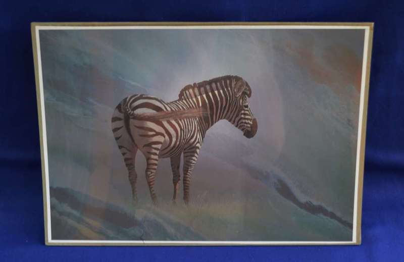 Malachi Smith `Collectors Print`  Lone Zebra - Unframed